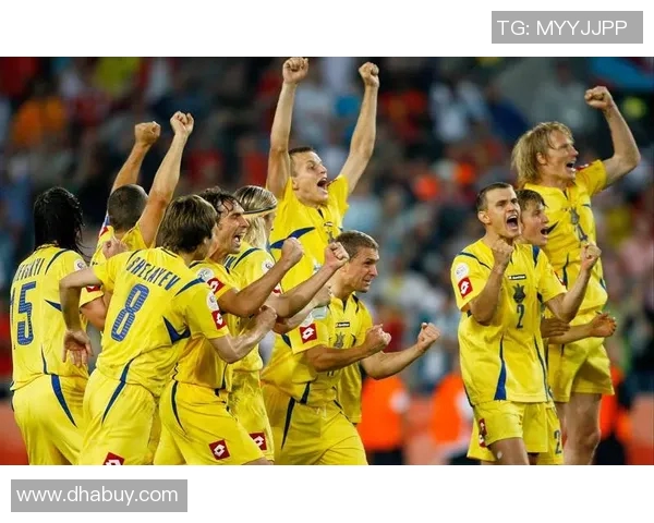 波黑足球明星的崛起与成就探讨